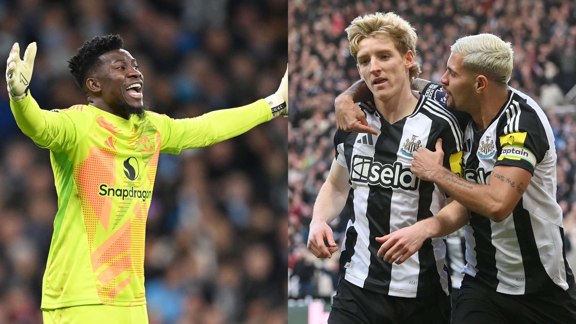 哈珀以及巴 哈珀以及巴