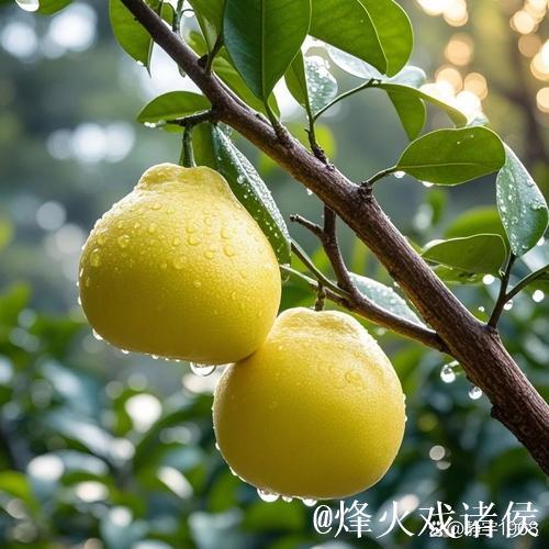 全运盛典九城同辉,天津赛场热情燃爆 全运盛典九城同辉,天津赛场热情燃爆